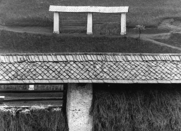 hayrack