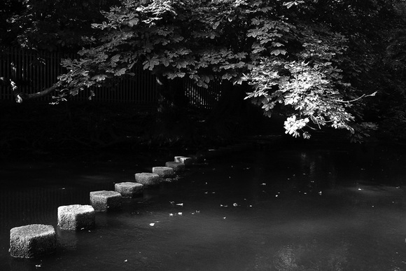 Autumn Steps