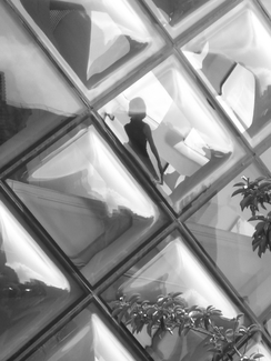 Aoyama, Tokyo (2007)