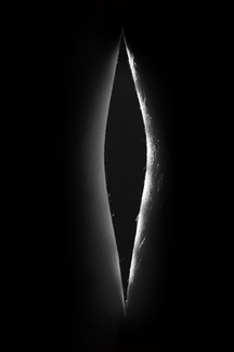 Bodyscapes