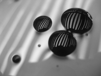 Balsamic in oil