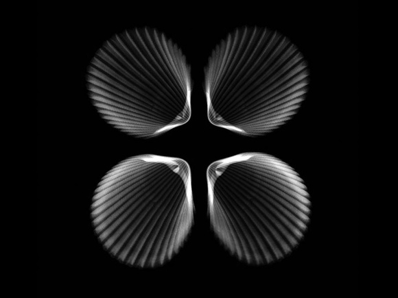 Shells X-Ray
