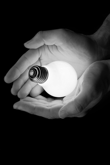 Bulb