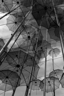 Umbrellas