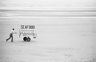 Seafood Seller