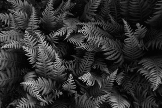 Rhythm I