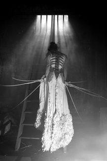 Bird Woman