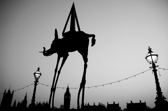 One night with Dali