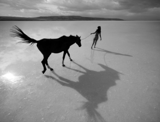 shadows...