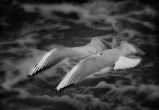 Twinflight