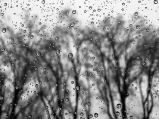 Raindrops