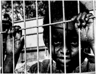 Fenced Childhood 