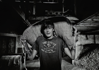 The Hop Picker
