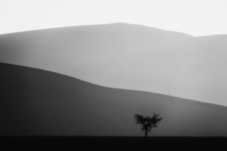 Dunes