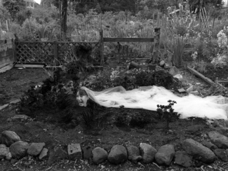 Ashmodai_Garden