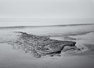 Misty Beach