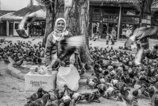 Bird woman