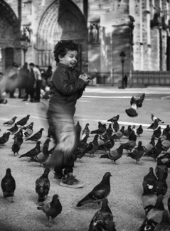 The Joy of Life