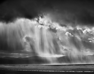 Liquid Sky