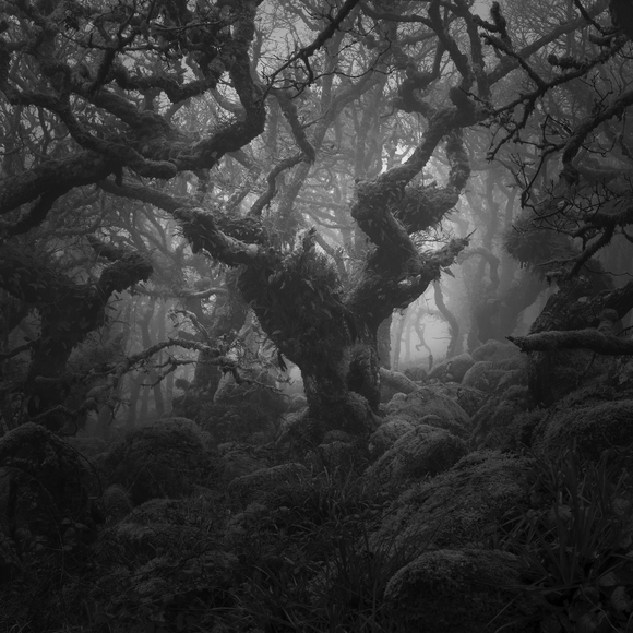 War of the Worlds