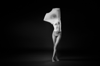 Cocoon