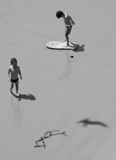 Surf's Up