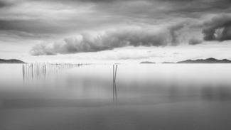 Poles