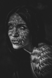 Fern