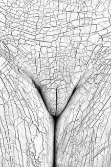 Clay And Structure (1)