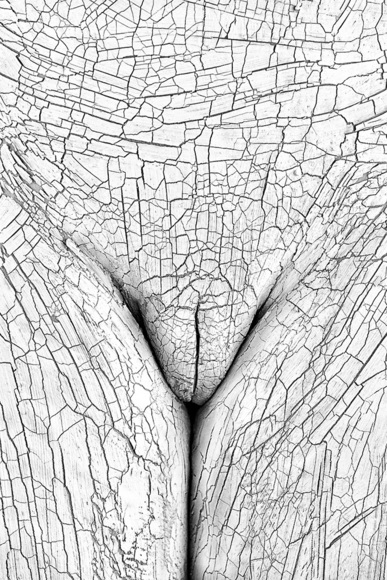 Clay And Structure (1)