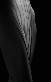 Light and Curves