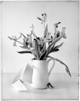 Collar & Vase