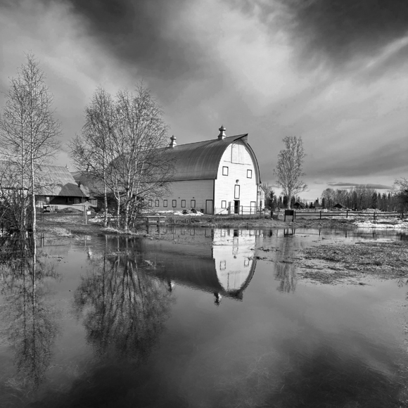 Barn Reflection