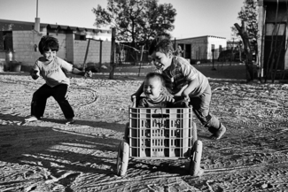 The Boyhood Joy