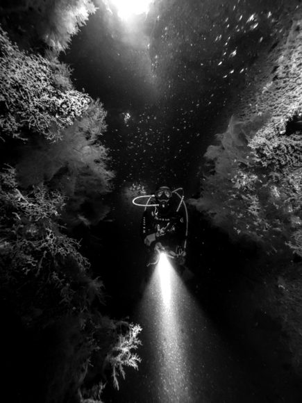 Akitsushima Wreck