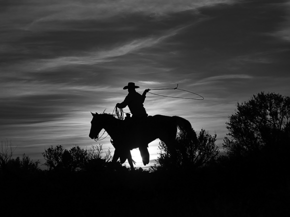 Ropin' in the Sun