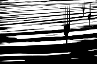 Neptune's modern fork