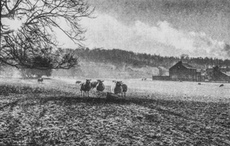 kent_alan_Paper Landscape