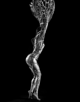 Shadow and Light-beauty Unbound project # 3