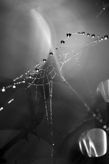 Bejewelled