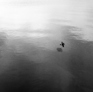 Afloat