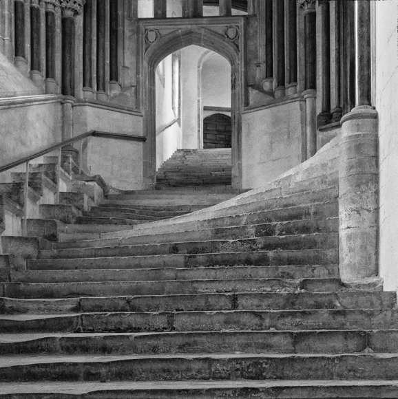 Sea of Steps