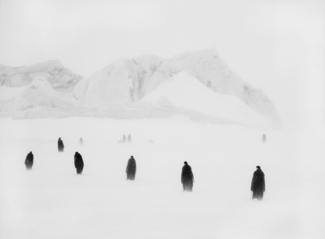 The Wanderers