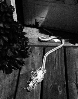 Rope