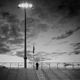 The Last Fan