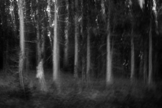 Wraith In the Woods