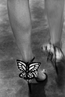 Flying Away