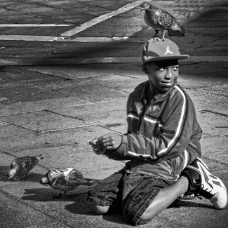 Pigeon Whisperer