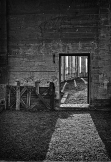 Open Door Policy