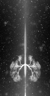 Falling Angel